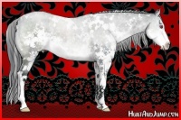 Horse Color:White Spotted Buckskin Chinchilla Dun Splash 