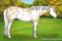 Horse Color:Silver Classic Champagne Dun Splash Frame 