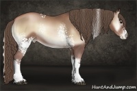 Horse Color:White Spotted Blue Onyx Pearl Rabicano 