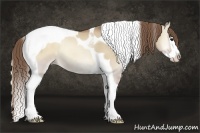 Horse Color:Grullo Pearl Onyx Splash Tobiano Rabicano 