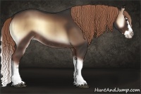 Horse Color:Liver Red Onyx Sabino Splash Rabicano 