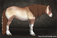 Horse Color:Bay Pearl Onyx Sabino Rabicano