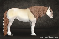 Horse Color:Liver Red Dun Pearl Onyx Rabicano