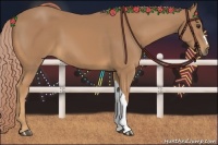 Horse Color:Palomino 