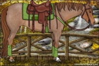 Horse Color:Red Roan 