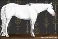 Horse Color:Gray White Spotted Silver Amber Cream Champagne Roan Dun Splash Near Leopard 