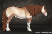 Horse Color:Brown Pearl Onyx Sabino Rabicano