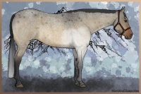 Horse Color:Bay Roan Dun Rabicano Brindle