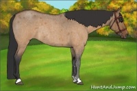 Horse Color:Brown Roan Dun Rabicano Brindle