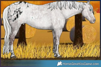 Horse Color:Liver Red Dun Mushroom Frame Brindle  and ERROR: UNKNOWN ANOMALY