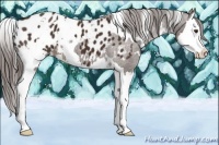 Horse Color:White Spotted Liver Chestnut Splash Blanket