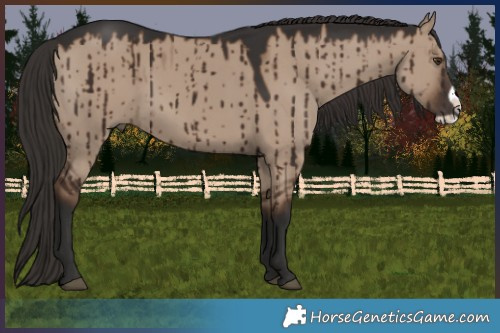 Horse Color:Liver Red Dun Frame Brindle 