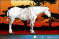 Horse Color:Liver Red Dun Snowcap  and Cremello Near Fewspot 