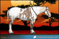 Horse Color:Liver Red Dun Snowcap  and Cremello Near Fewspot 
