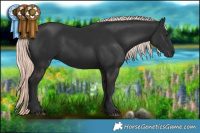Horse Color:Liver Chestnut Mushroom 