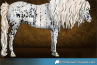 Horse Color:ERROR: UNKNOWN ANOMALY and Perlino Sabino Rabicano