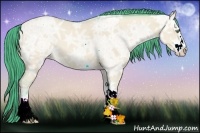 Horse Color:Watercolor Amber Champagne Ice Dun Sabino