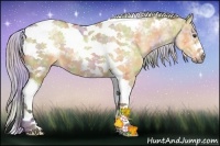 Horse Color:Nacre Silver Buckskin Ice Dun Sabino Tobiano Frame Rabicano 