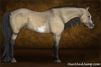Horse Color:Brown Dun Sabino Frame Brindle 