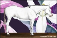 Horse Color:Brown Dun Appaloosa Brindle 