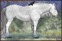 Horse Color:Blue Roan Frame 