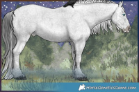 Horse Color:Blue Roan Frame 