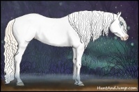 Horse Color:Perlino Sabino Varnish  and Perlino Sabino Varnish 