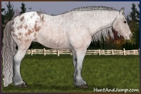 Horse Color:Brown Roan Blanket and Brown Roan Frame Blanket
