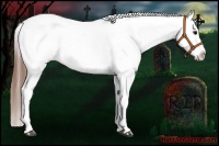 Horse Color:Blue Roan Varnish 