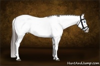 Horse Color:Red Onyx Roan Splash Frame Rabicano 