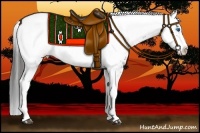 Horse Color:Black Frame Appaloosa 