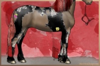 Horse Color:Painted Chocolate Palomino Tobiano 