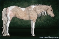 Horse Color:Silver Buckskin Ice Tobiano 