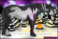 Horse Color:Black Frame 