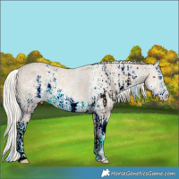 Horse Color:White Spotted Cremello Sabino  and Cremello Sabino 
