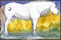 Horse Color:Buckskin Ice Pearl Frame Appaloosa Rabicano 