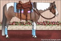 Horse Color:Bay Splash Tobiano Appaloosa