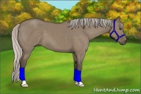 Horse Color:Silver Grullo