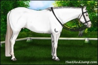 Horse Color:Liver Chestnut Pearl Snowcap 