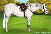 Horse Color:Perlino Roan Dun Splash