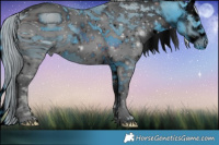 Horse Color:ERROR: UNKNOWN ANOMALY