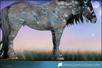 Horse Color:ERROR: UNKNOWN ANOMALY