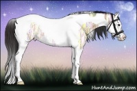 Horse Color:Bay Ice Dun Splash Tobiano