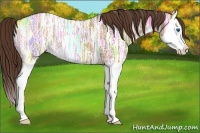 Horse Color:Liver Red Dun Ice Splash