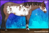 Horse Color:Bay Roan Frame