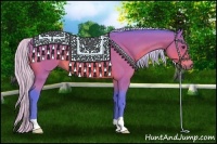 Horse Color:Watercolor Silver Bay
