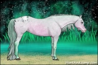 Horse Color:Watercolor Bay Appaloosa 