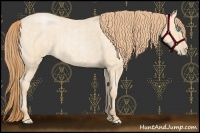 Horse Color:Buckskin Roan Pearl and Buckskin Roan Pearl