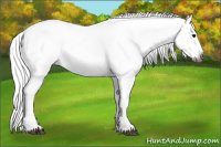 Horse Color:Gray Black Splash Tobiano