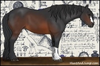 Horse Color:Brown 
